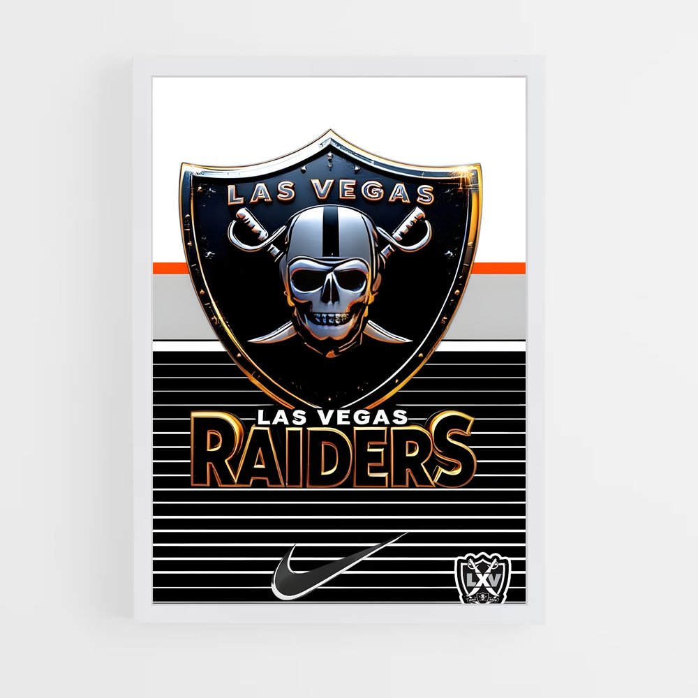 Poster Black & Silver Raiders (vue 3)